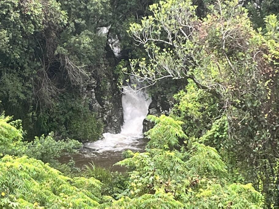 "La Ravine" Prive, Luxe, Avec Une Vue Unique Saint-Joseph Exteriér fotografie